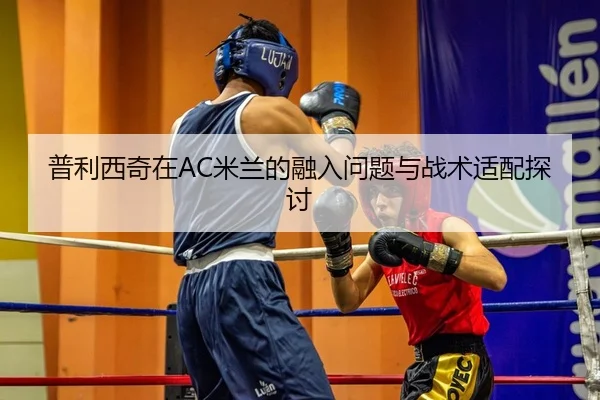 普利西奇在AC米兰的融入问题与战术适配探讨